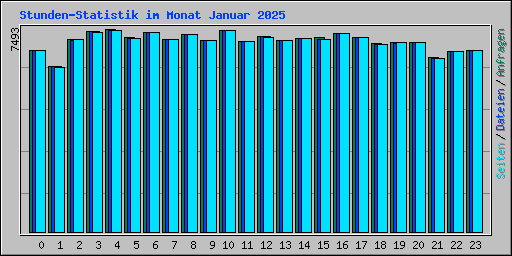 Stunden-Statistik im Monat Januar 2025