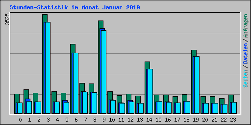 Stunden-Statistik im Monat Januar 2019