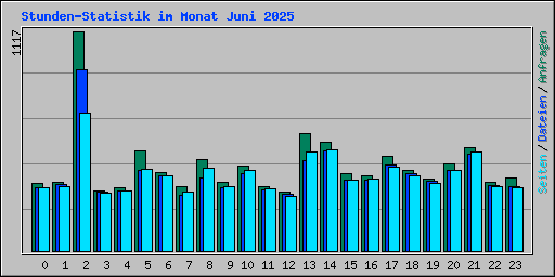 Stunden-Statistik im Monat Juni 2025